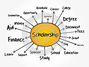 Scholarship mind map flowchart, education concept for presentations and reports