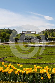 Schonbrunn Palace Gardens and Gloriette , Austria