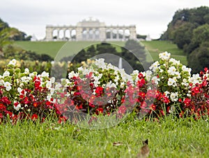 Schonbrunn Palace. Gardens of Schonbrunn Palace.