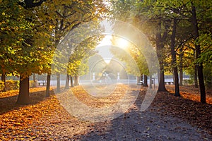 Schonbrunn park in autumn at sunrise, Vienna, Austria