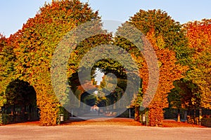 Schonbrunn park in autumn, Vienna, Austria