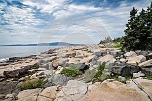 Schoodic Point in Acadia National Park in Maine