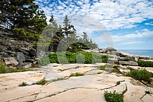 Schoodic Point in Acadia National Park in Maine
