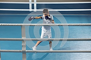 School age boy, beginner boxer in sport uniform and gloves during workout at boxing ring. Concept of sport, studying