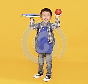 School boy with bagpack hold apple and book isolated on yellow photo