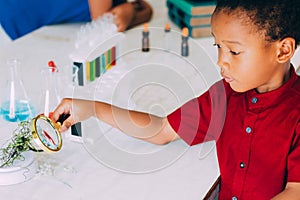 School boy use magnifier to test plant for scientific proof in science class - biology concept