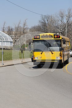 School Bus