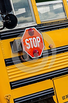 School Bus / Buses in the city