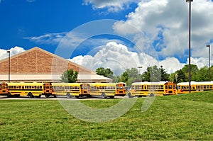 School Bus Lineup In Spring