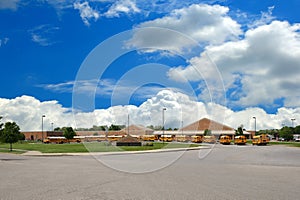 School Bus Lineup In Spring