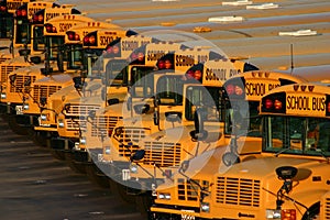 School Bus Lot