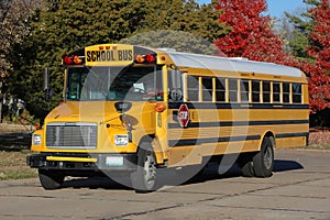 School Bus in the Neighborhood