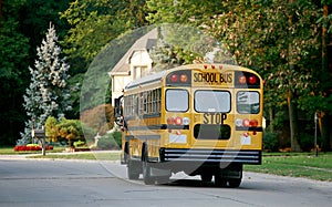 School Bus in Neighborhood