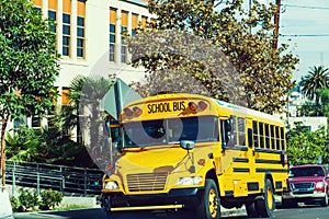 School bus parked by the school