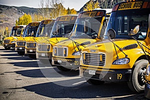 School bus parked and standing in a row