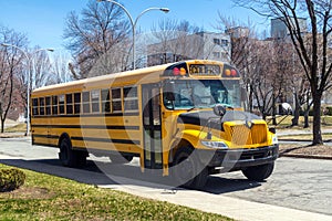 School bus parked on the street