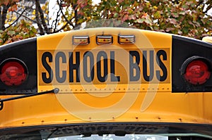 School bus