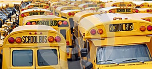 School Bus Yard