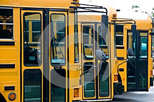 School buses