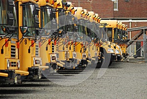 School Buses photo