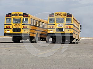 School Buses - 2 (back-end view)