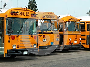 School buses