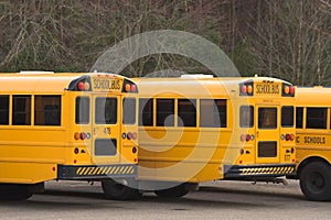 School Buses