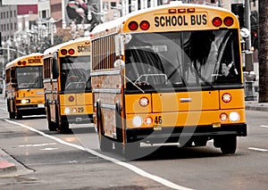 School buses driving