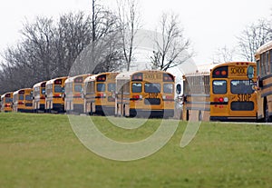 School Buses Driving in a Line