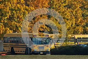 School buses at end of day