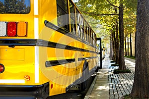 School buses on a field trip parked in downtown