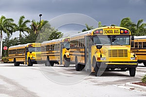 School Buses waiting to go on service.
