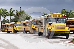 School Buses