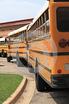 School buses lined up