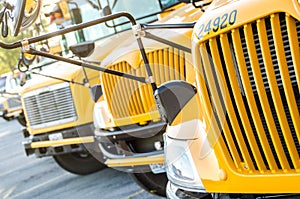 School buses lined up