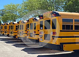 School buses lined up with no place to go