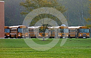 School Buses Parked