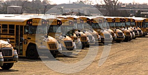School Buses Parked in a Long Row