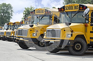 School busses Lined up to Transport kids