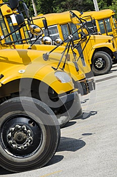 School busses Lined up to Transport kids