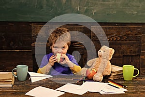 School change. School break. Hungry kid biting apple in classroom. Small boy playing with paper plane and teddy bear