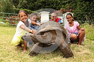 School children with giant tortoise on St Helena photo