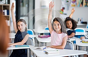 School children sitting at the desk in classroom on the lesson, raising hands.