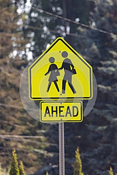 school crossing ahead yellow traffic sign in forest