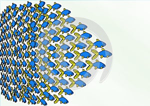 School of Fish