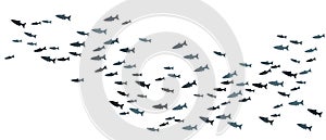 School of fish swimming vector illustration. Ocean or sea background