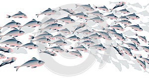 School of fish vector illustration for header,