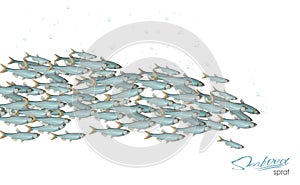 School of fish vector illustration for header, web, print, card and invitation. Plenty of herring or cod moving in the
