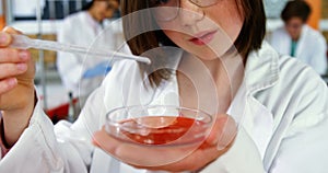 School girl experimenting with chemical in laboratory at school
