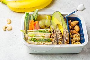 School healthy lunch box with sandwich, cookies, fruits and avocado on white background
